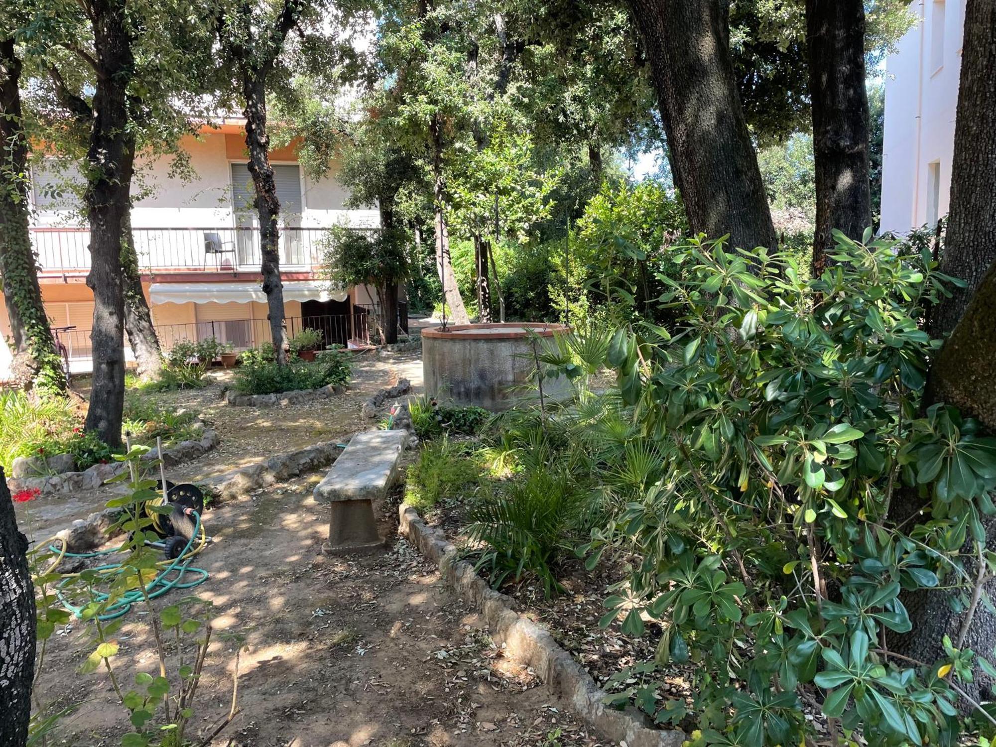Giardino Ovest - A Pochi Passi Dal Mare Apartment San Vincenzo Ngoại thất bức ảnh